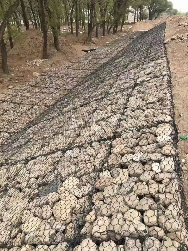 Double-twisted Mesh Advantage